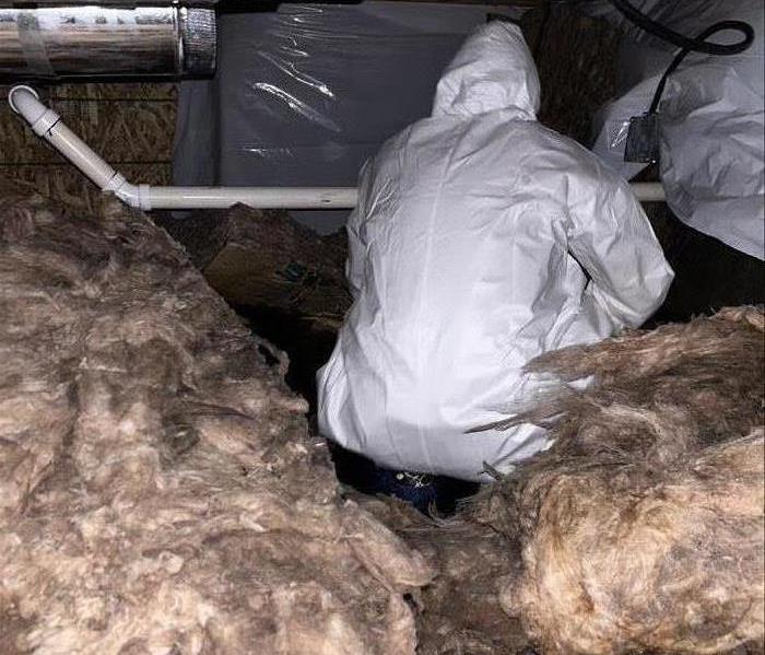 fallen insulation in crawl space under house